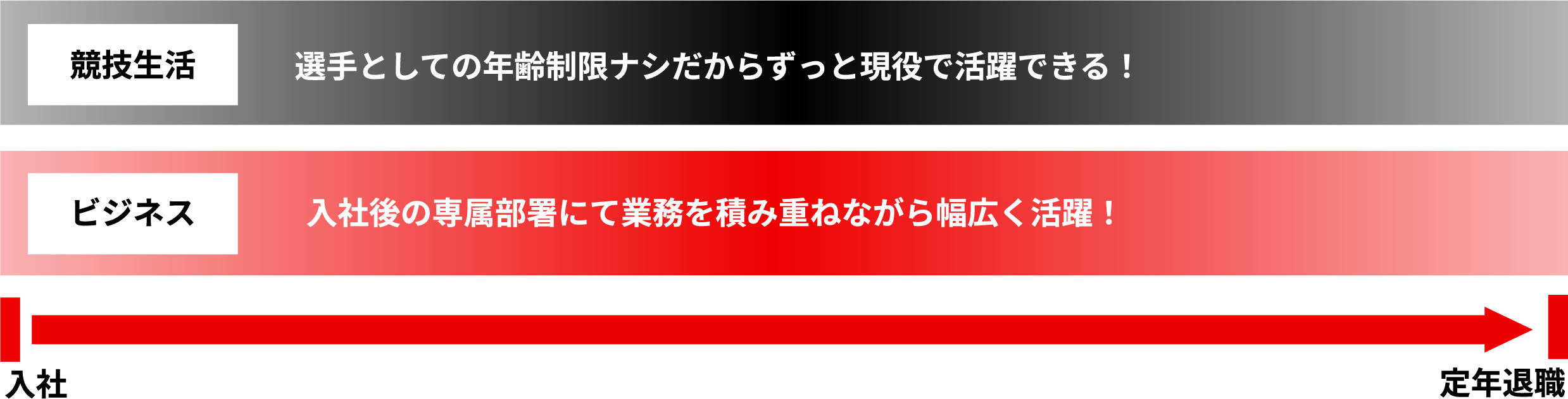 競技生活:選手としイェの年齢制限なしだからずっと現役で活躍できる! ビジネス:入社後の専属部署にて業務を積み重ねながら幅広く活躍!