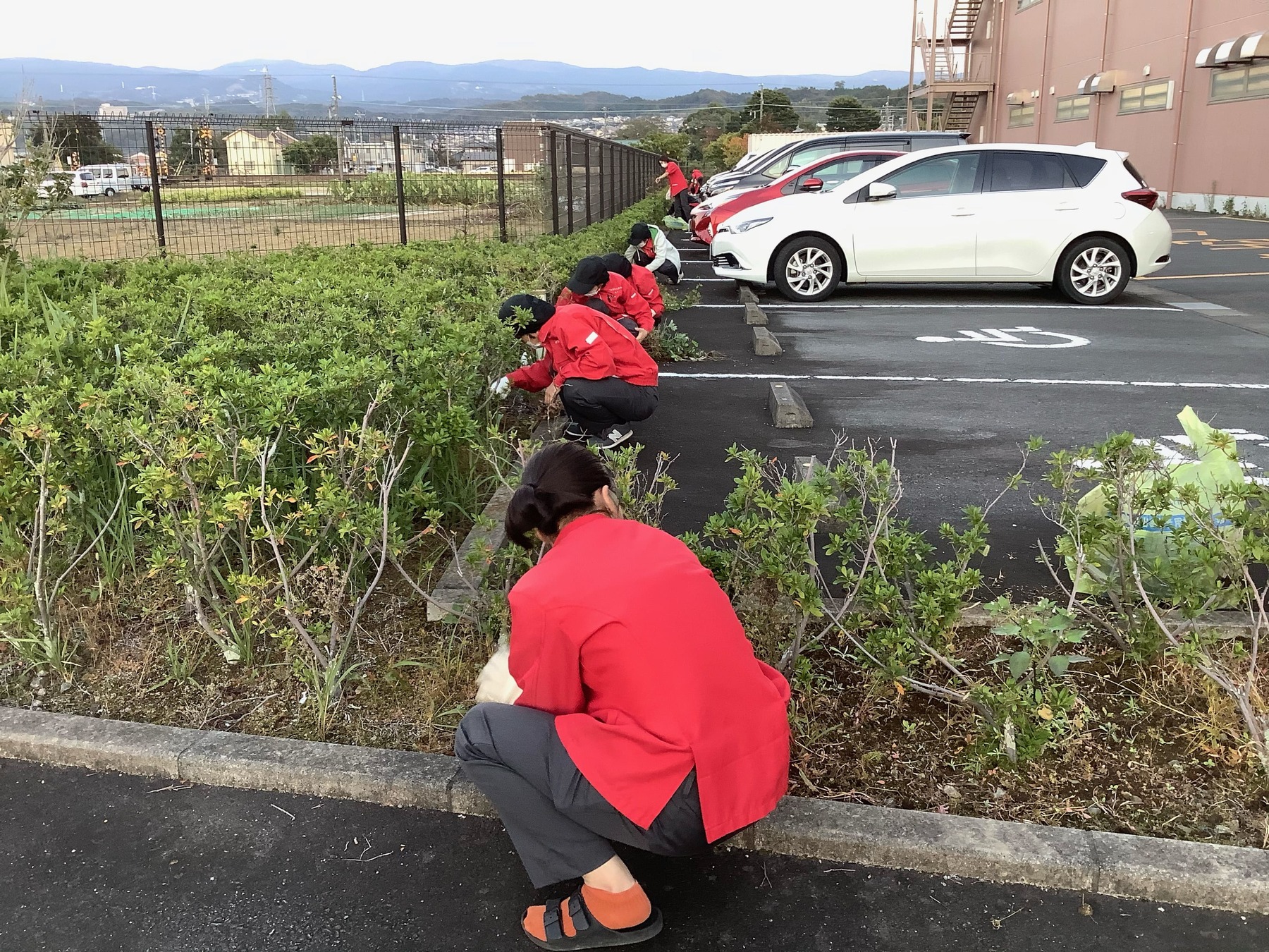 環境保全へ積極的な取り組み環境