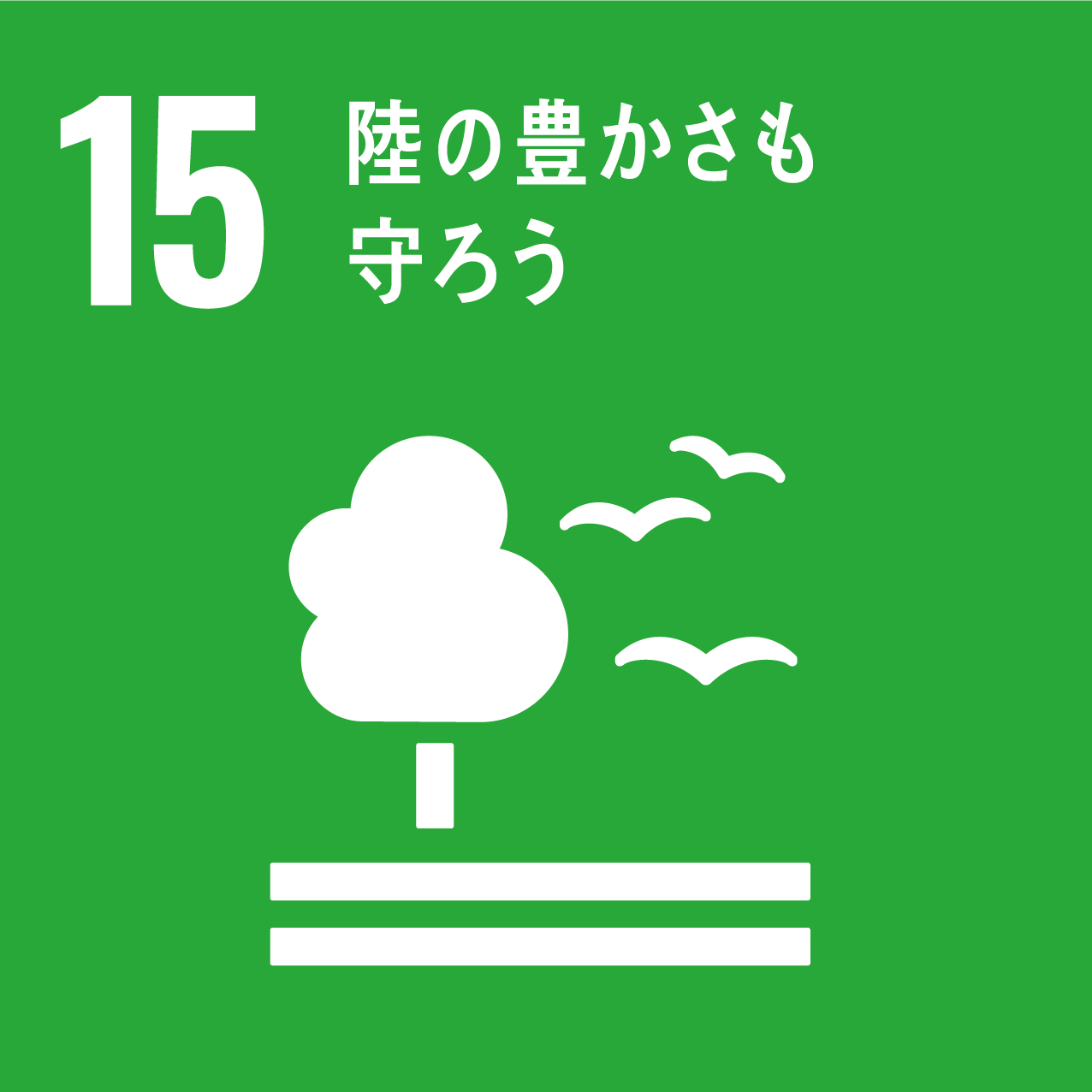 15　陸の豊さも守ろう